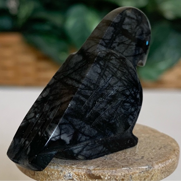 Zuni Crow Raven Fetish Clayton Panteah & Abby Quam Jasper Turquoise Heart Line - Picture 8 of 16